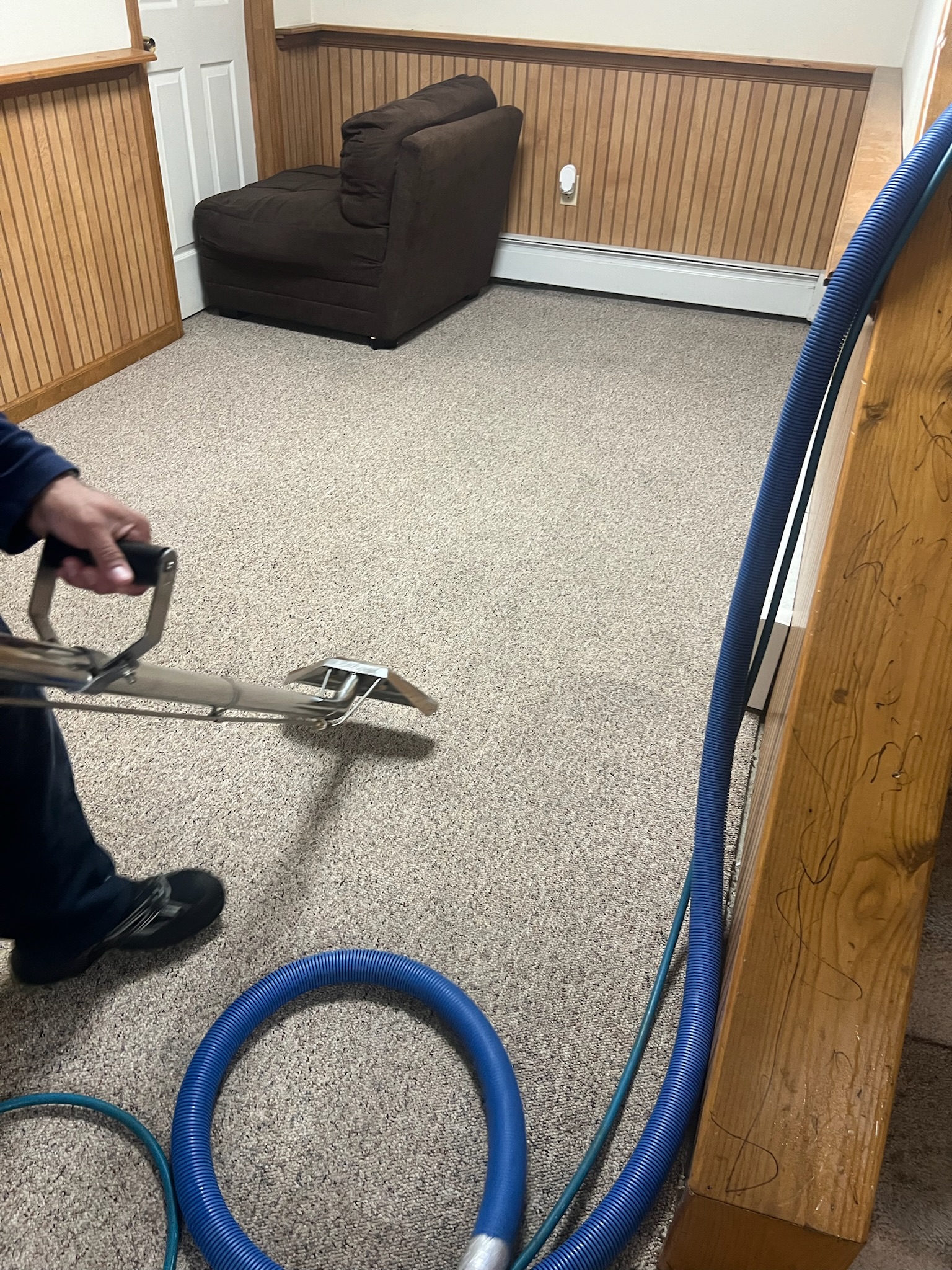 Basement Carpet