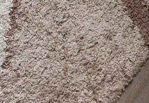 Carpet Cleaning