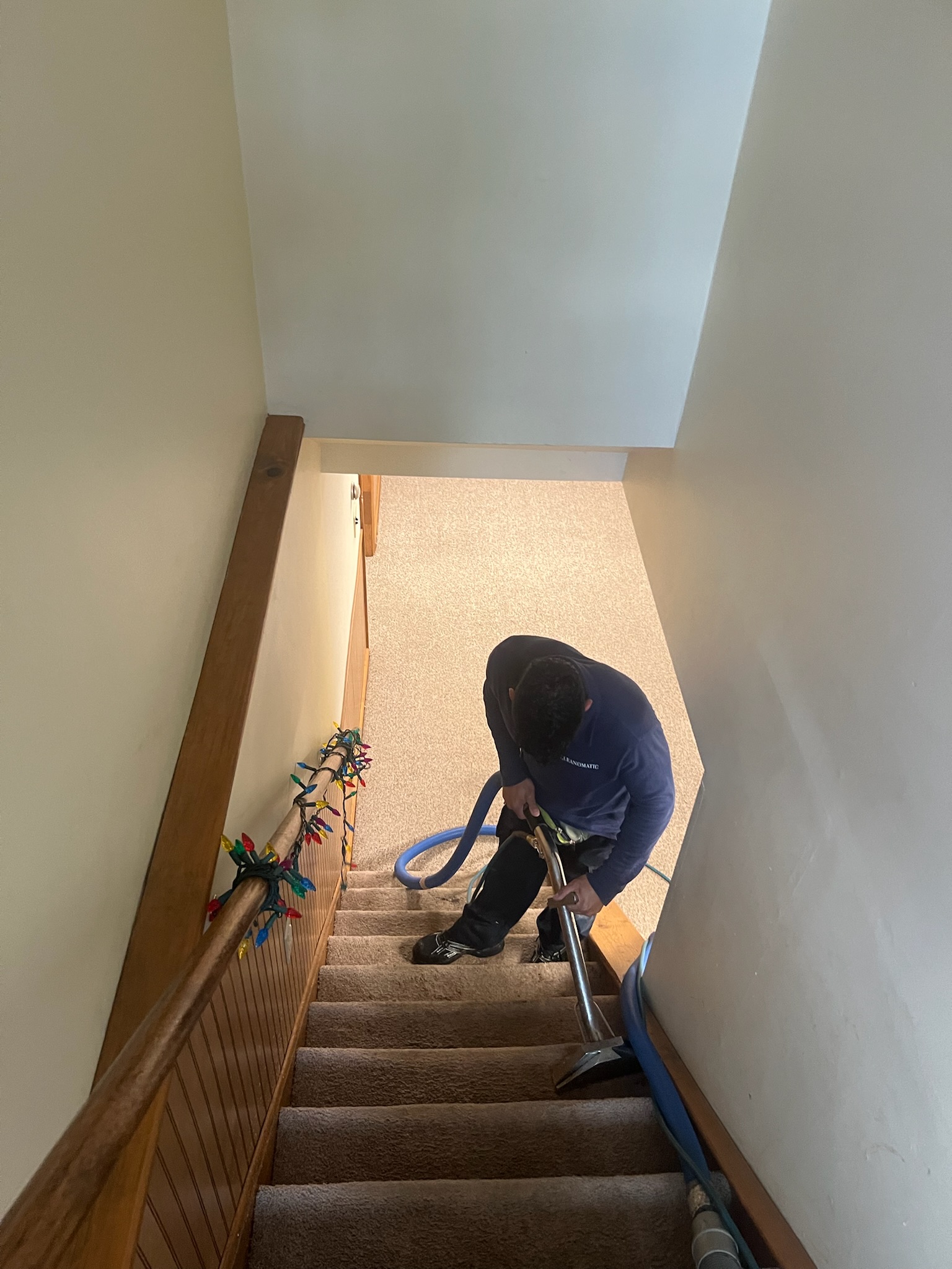 Clean Steps Carpet