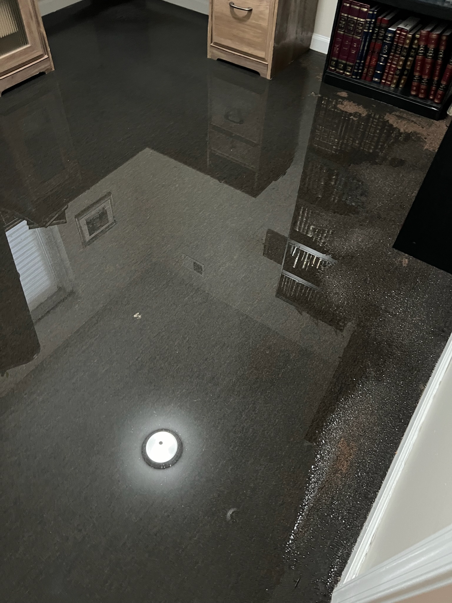 Water Restoration